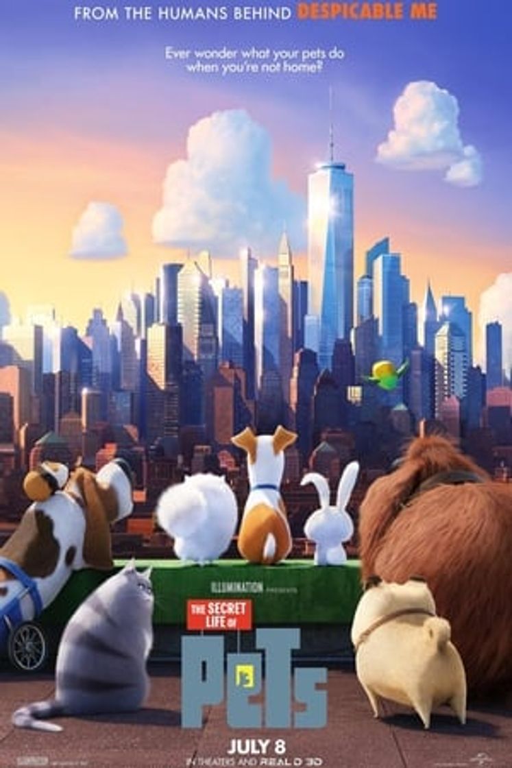 Movie Mascotas