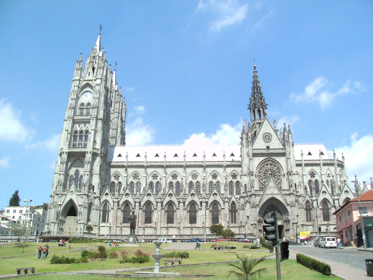 Social Basílica del Voto Nacional