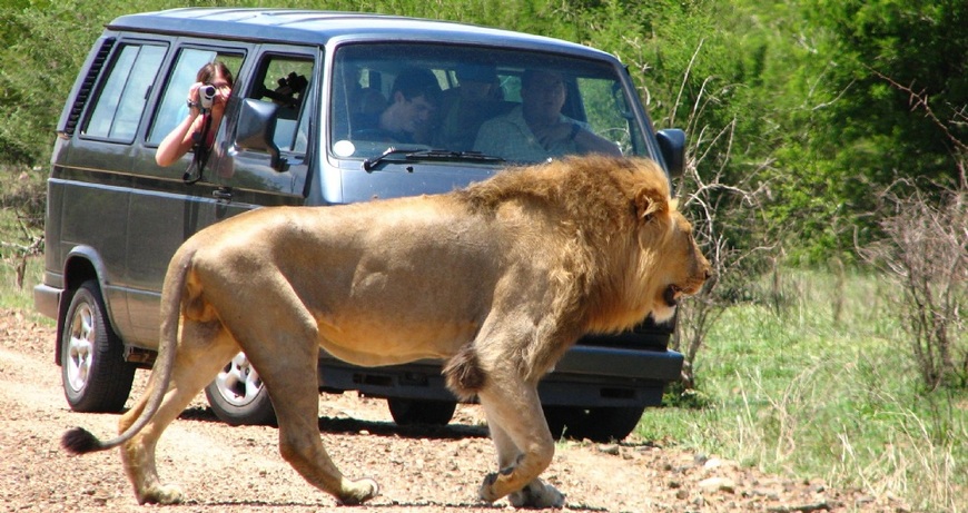 Place Kruger Park