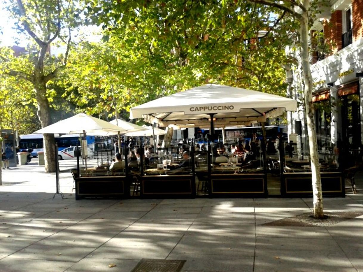 Restaurant Cappuccino Grand Café Madrid