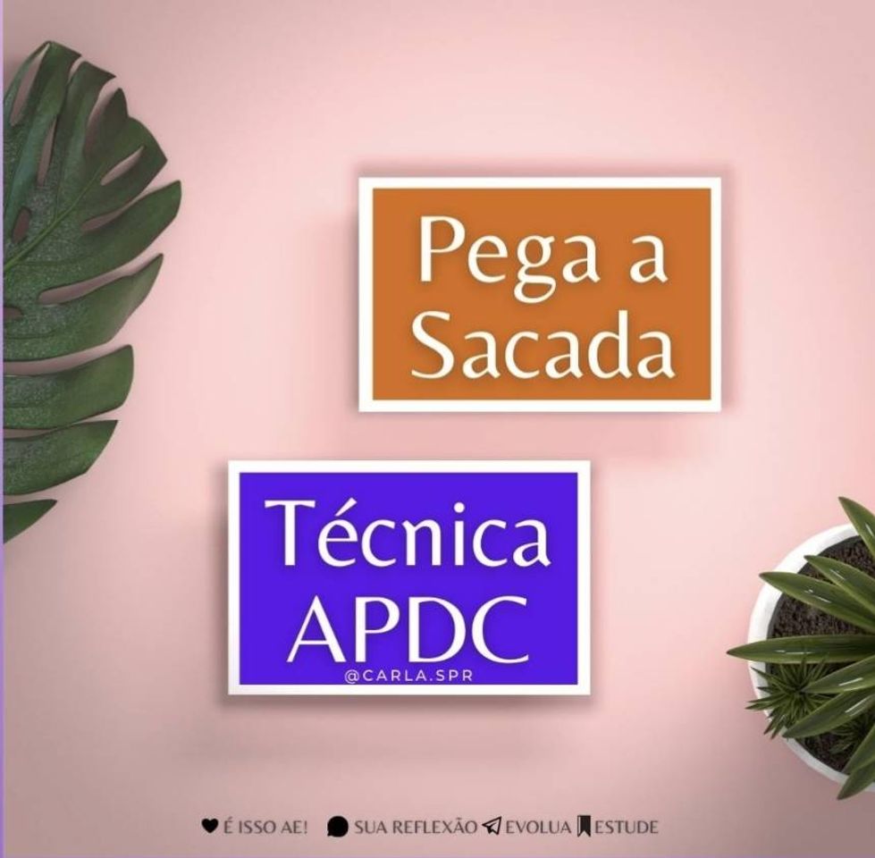 Fashion Técnica APEC