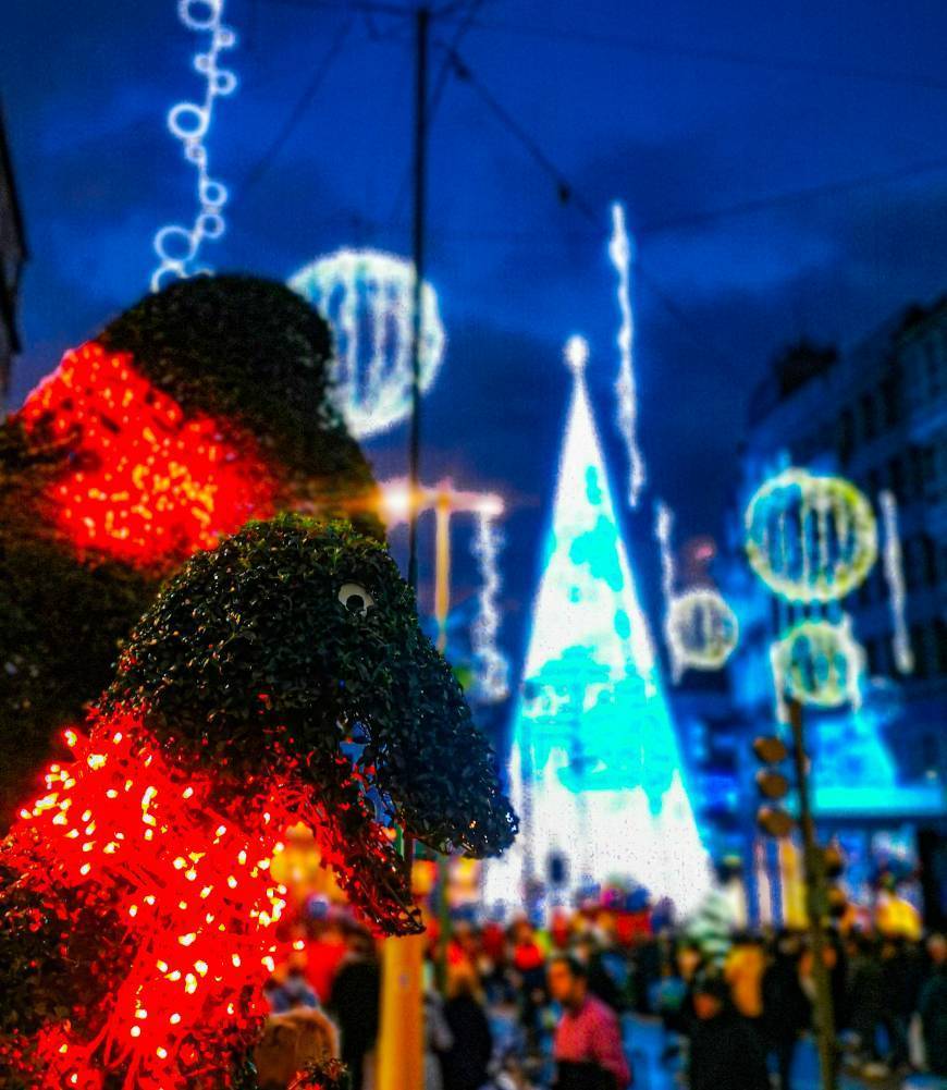 Place Luces de Navidad