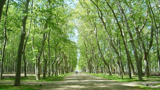 Lugar La Devesa Park