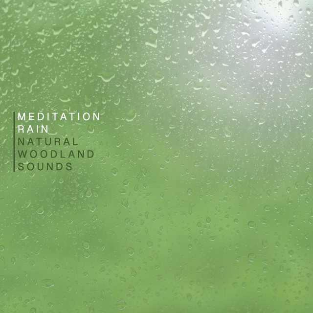 Music Meditation Rain