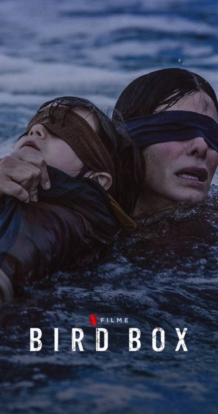 Película Bird Box 