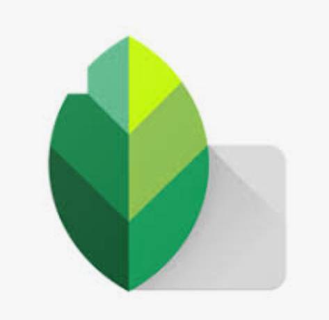 App Snapseed - Apps on Google Play