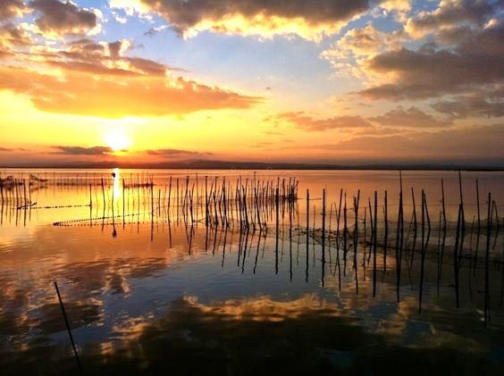 Place Albufera