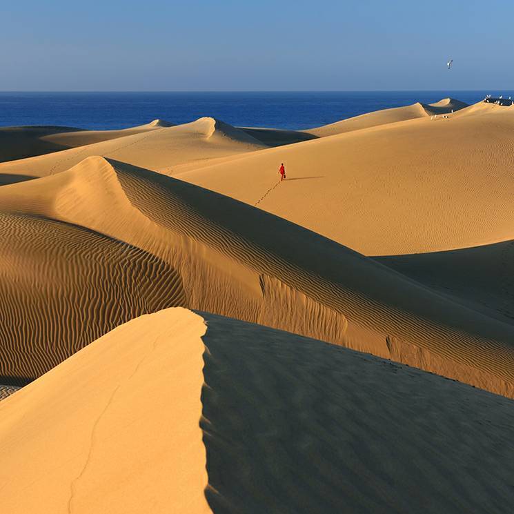 Place Dunas de Maspalomas