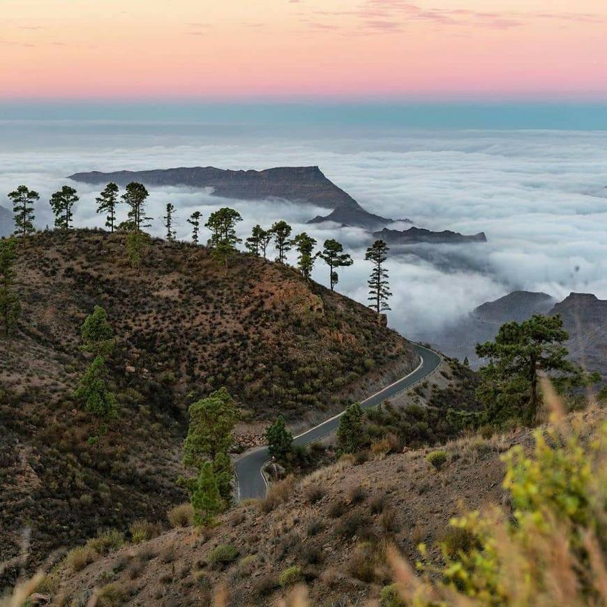 Places Cruz De San Antonio