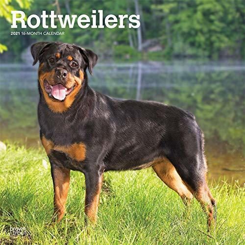 Rottweilers - Rottweiler 2021 - 18-Monatskalender mit freier DogDays-App