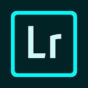 App Lightroom Mobile Edits foi Soft/Dark Academia 