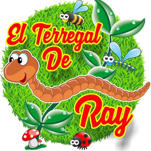 EL TERREGAL DE RAY - YouTube