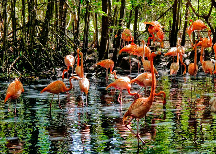 Place Aviario Nacional de Colombia