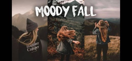 Preset Moody fall.