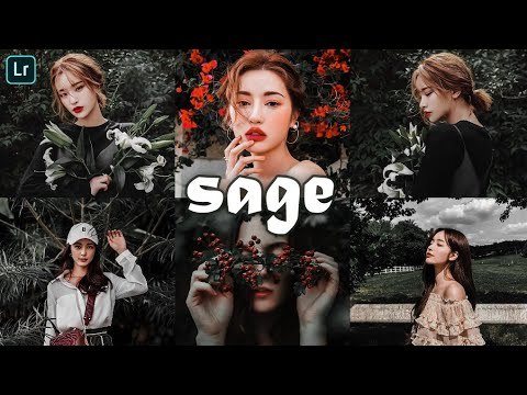 Fashion Sage Preset