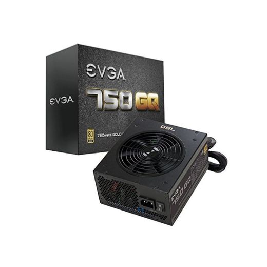 EVGA 210-GQ-0750 750 GQ - Fuente de alimentación