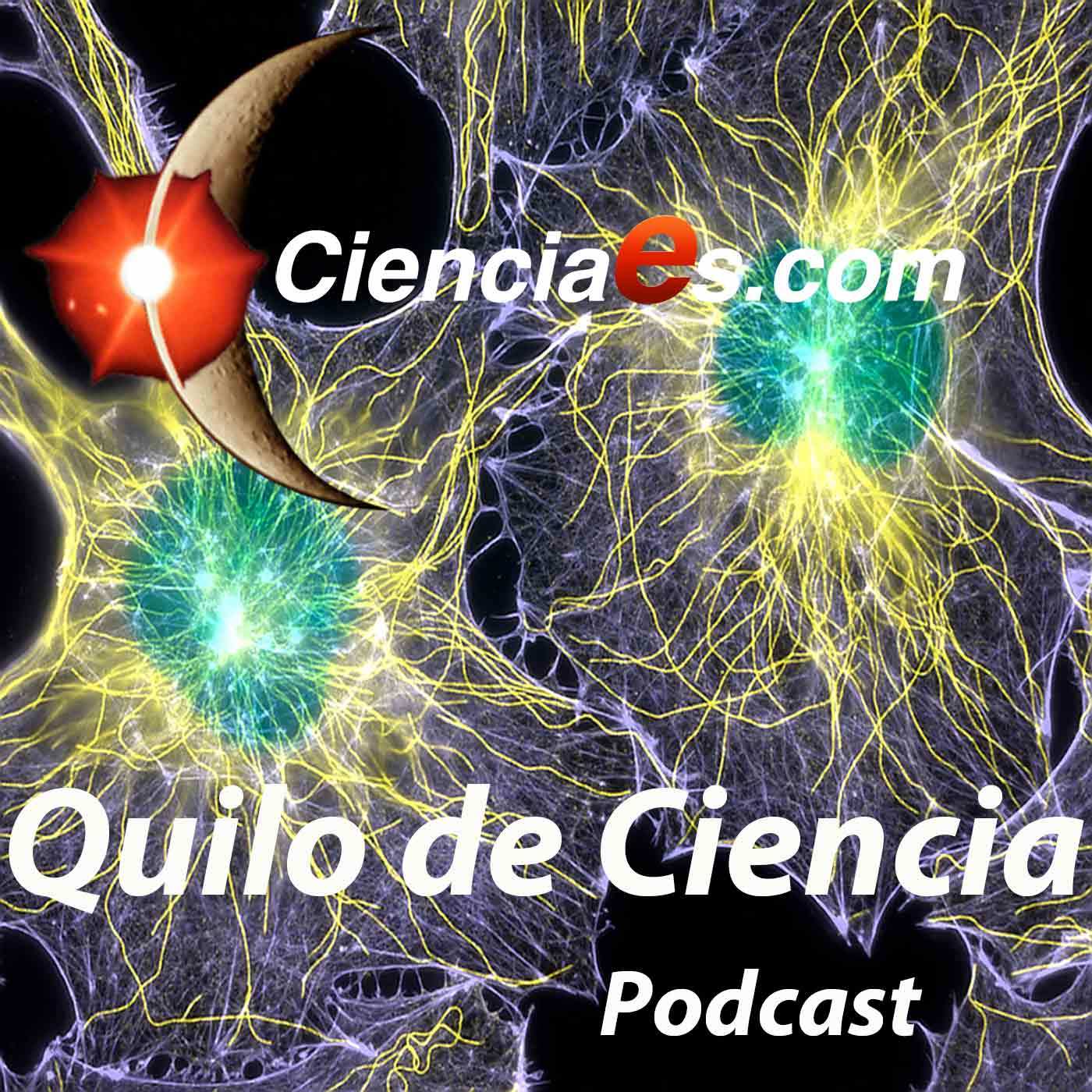 Moda Quilo de ciencia