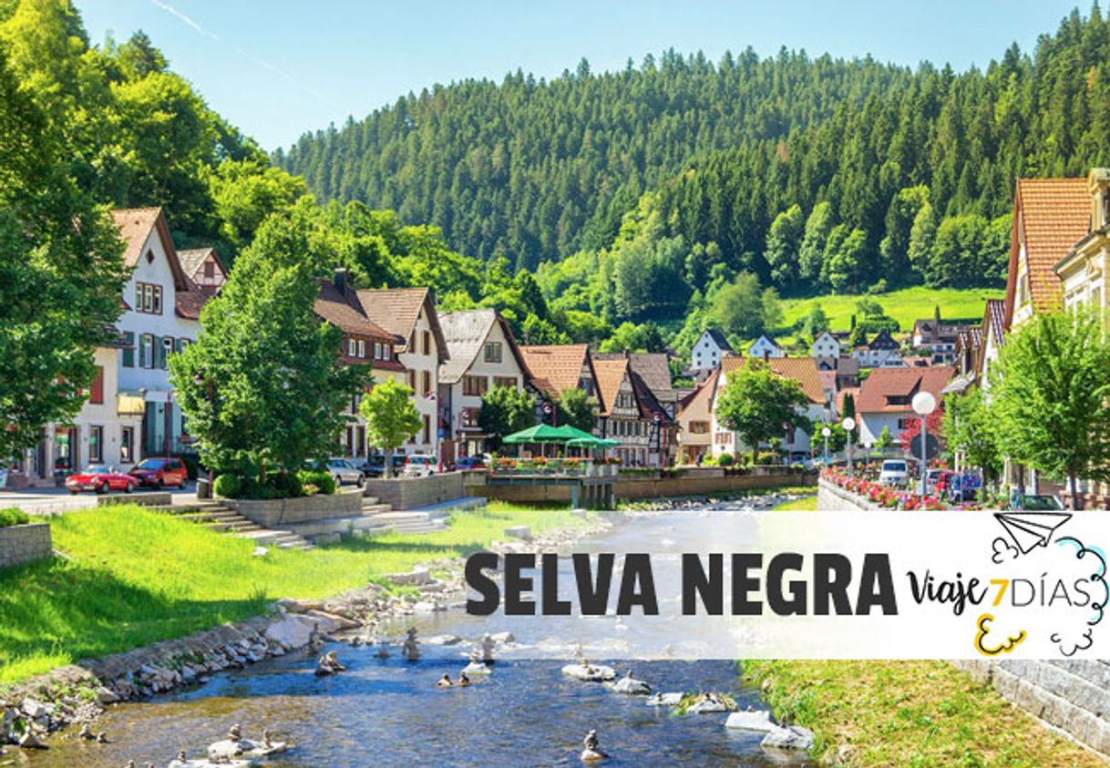 Place Selva Negra