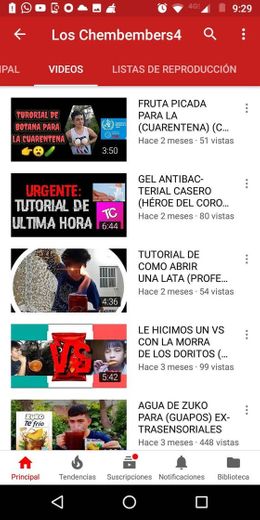 Canal de Youtube, los chembembers.