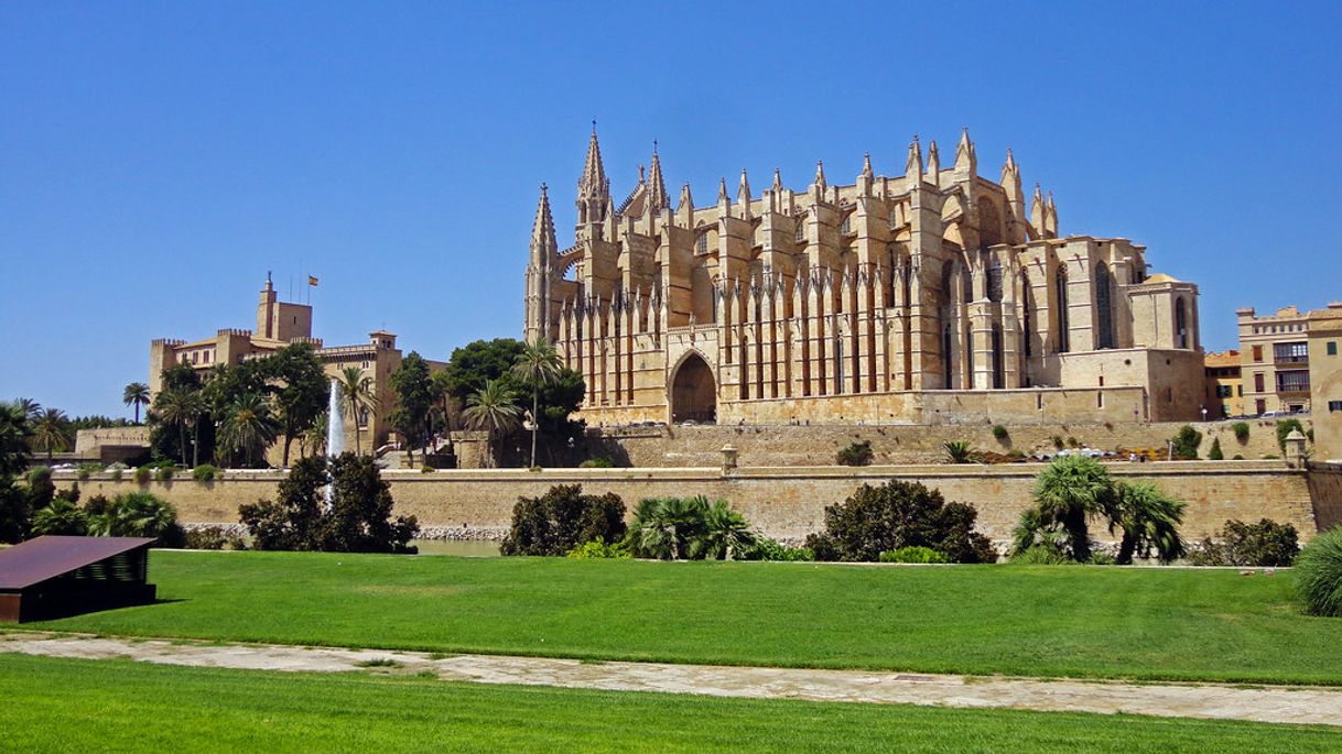 Lugar Catedral-Basílica de Santa María de Mallorca