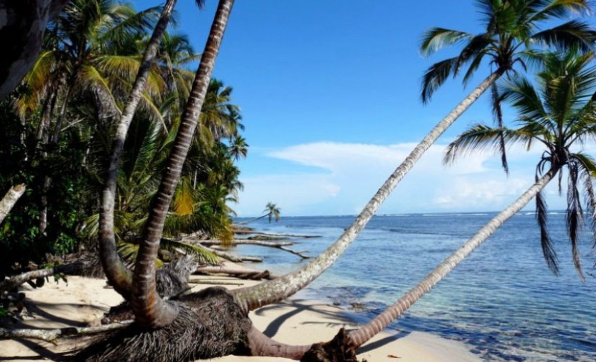 Place Parque nacional Cahuita