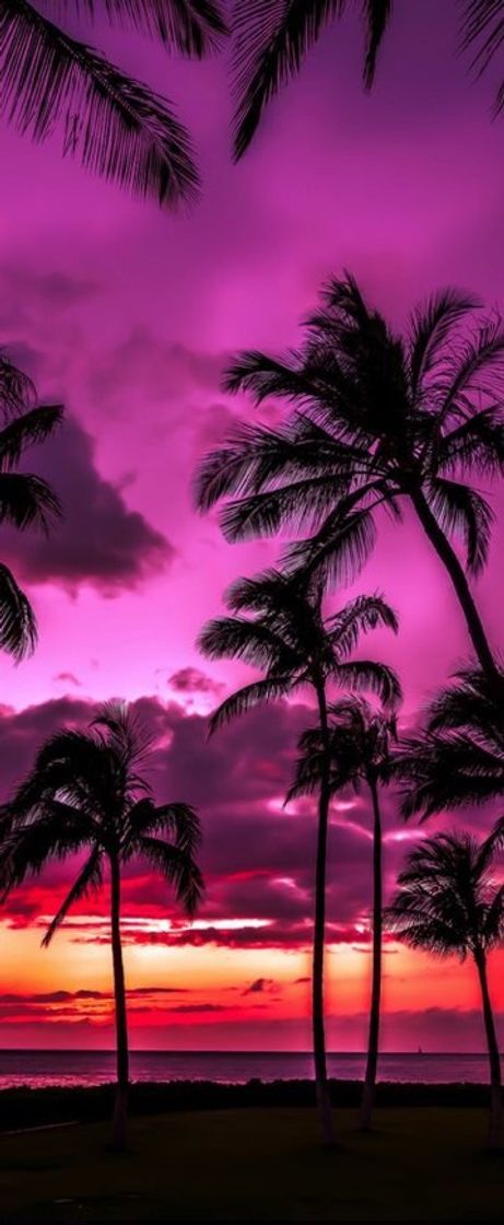 Paisagem 