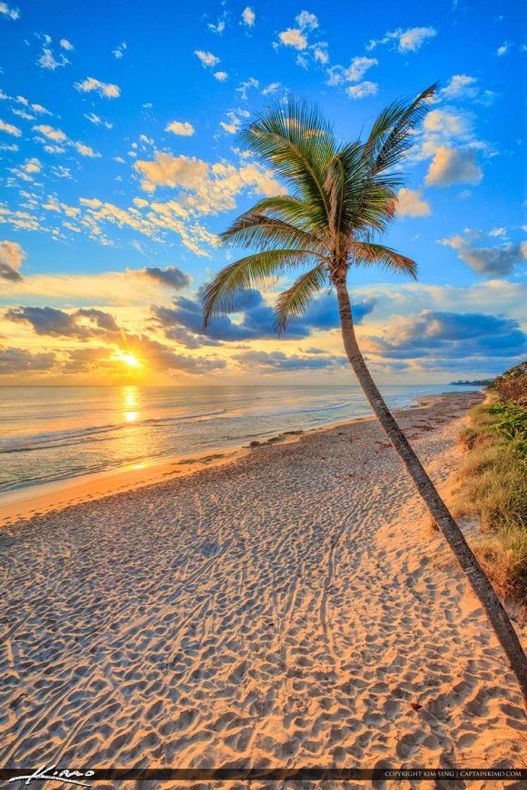 Paisagem 