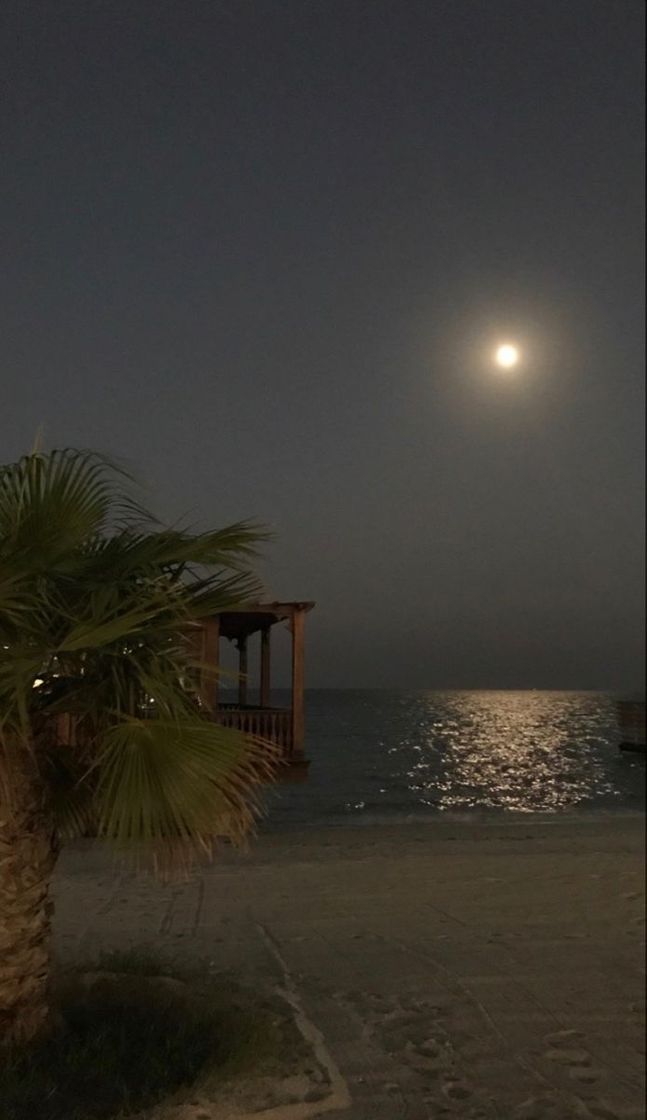Social Vista da Lua 🌒