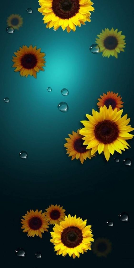 Wallpaper de girassóis ✨♥️