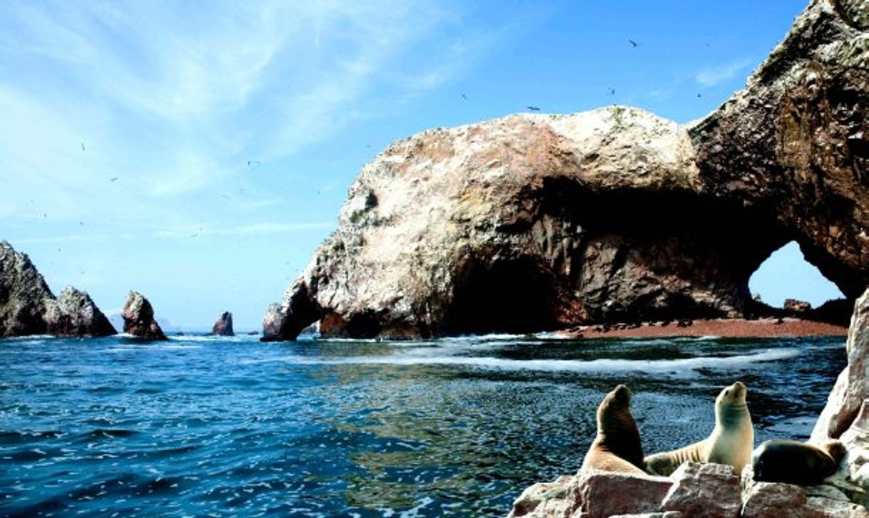 Restaurants Bahía de Paracas