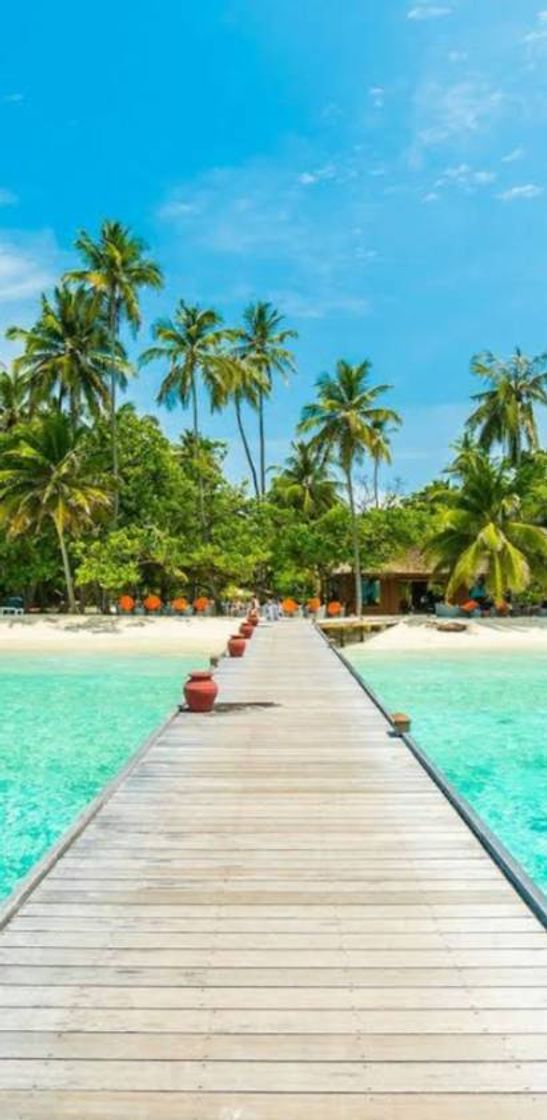 Lugar Maldive Islands