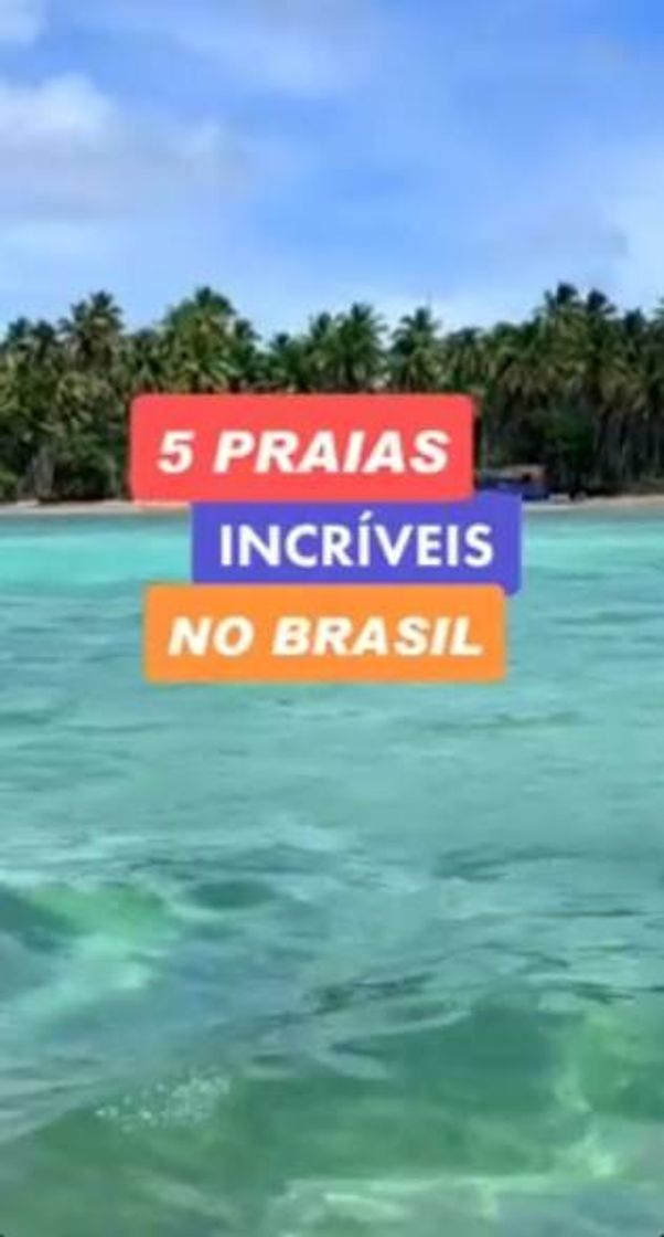 Place 5 praias para visitar 