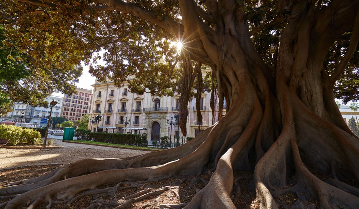 Lugar Jardines de la Glorieta