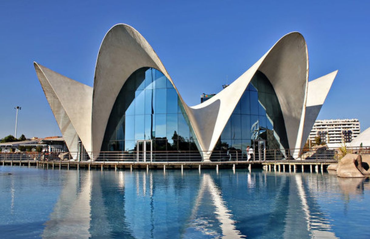 Place Oceanogràfic Valencia