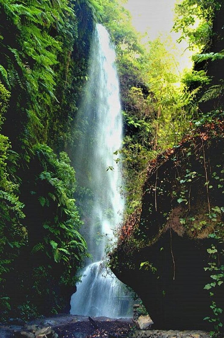 Place Cascada De Los Tilos