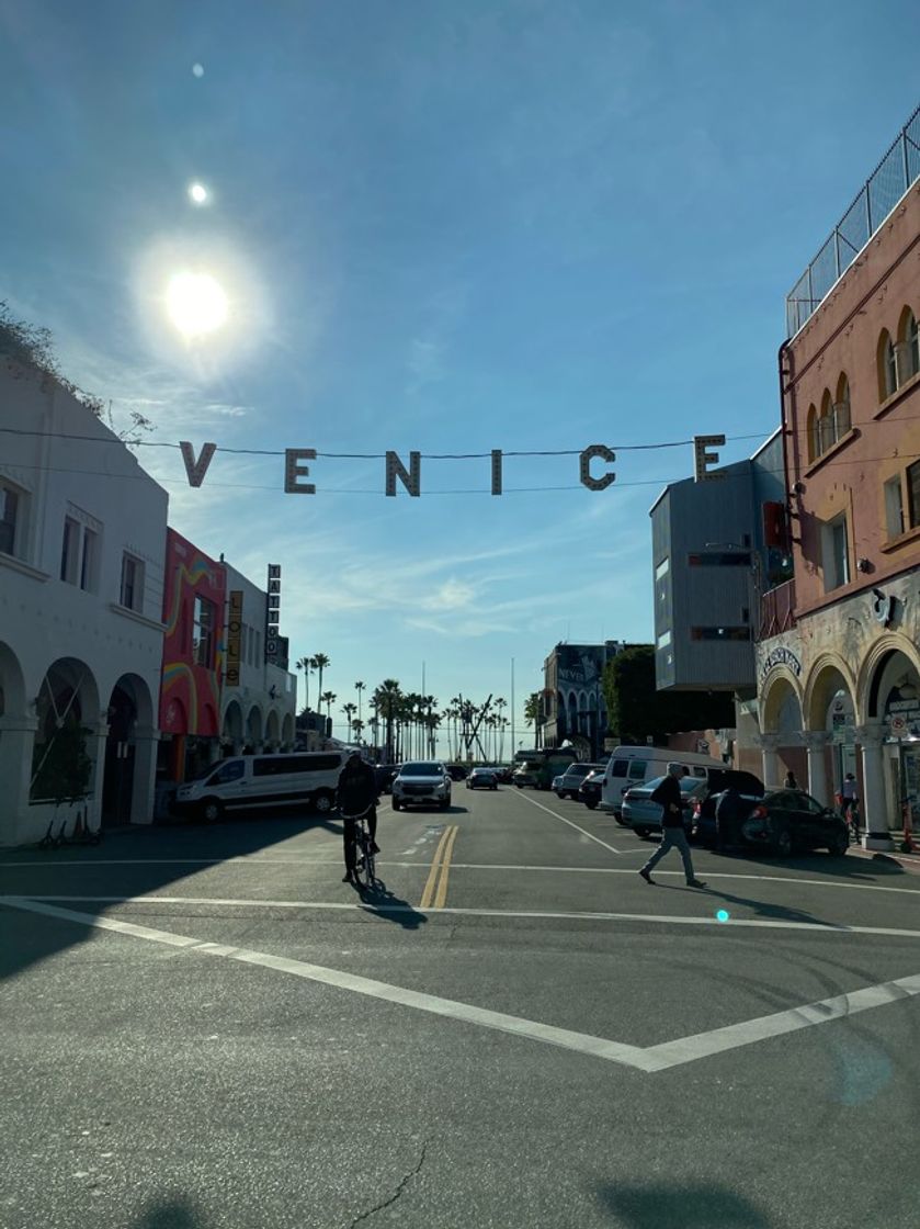 Place Venice Beach