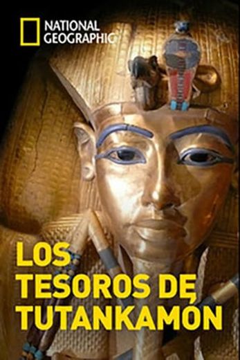 Tut's Treasures: Hidden Secrets