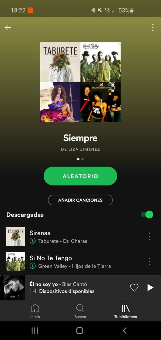 Playlist de lo que escucho