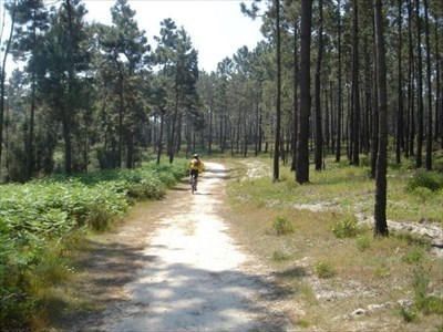 Lugar Herdade da Apostiça