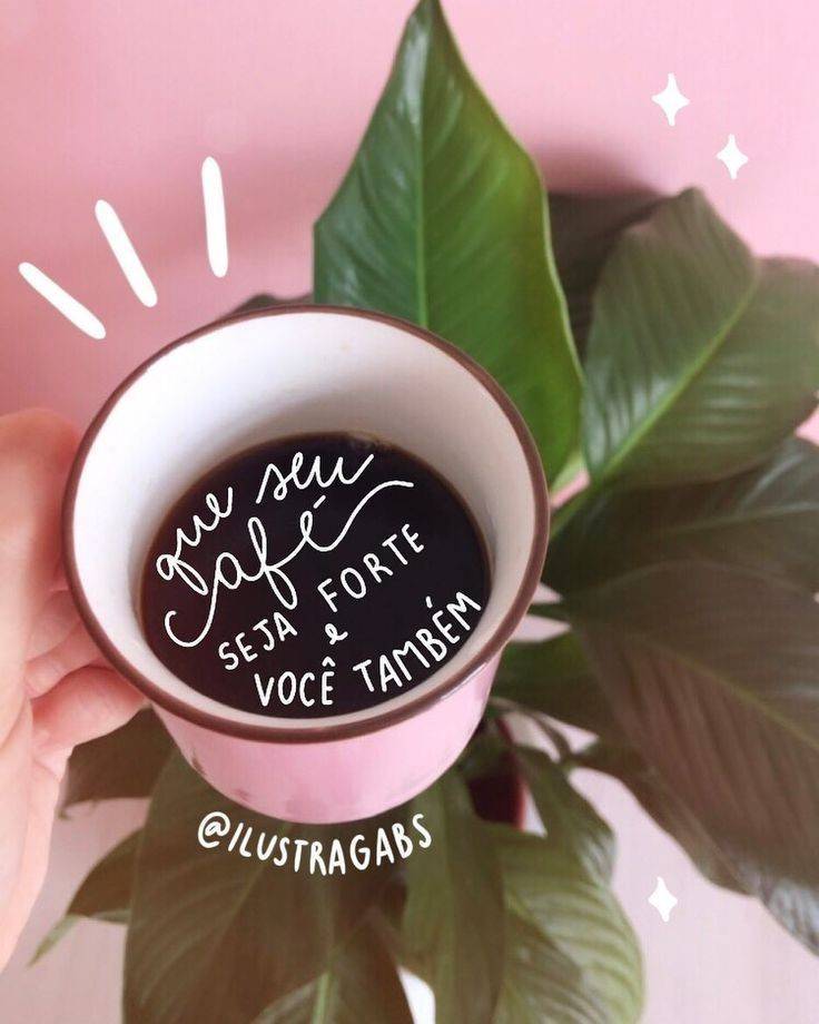 Inspirações para stories 