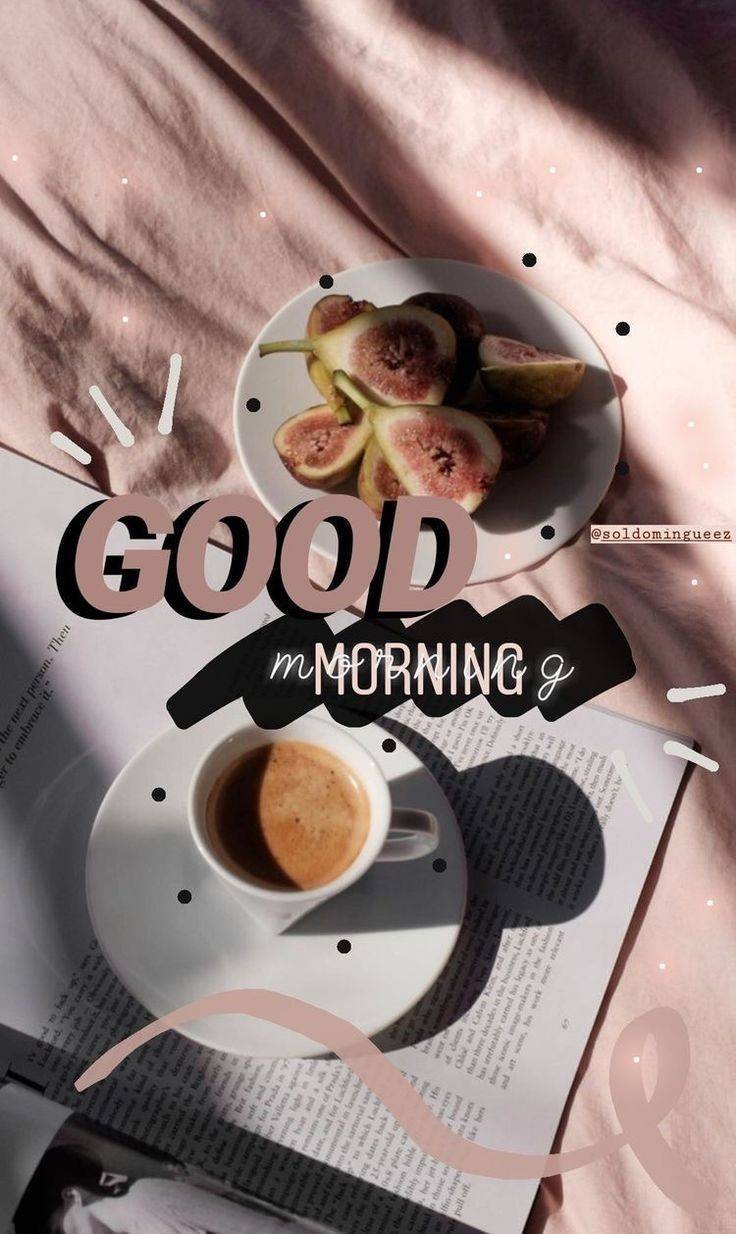 Inspirações para stories 