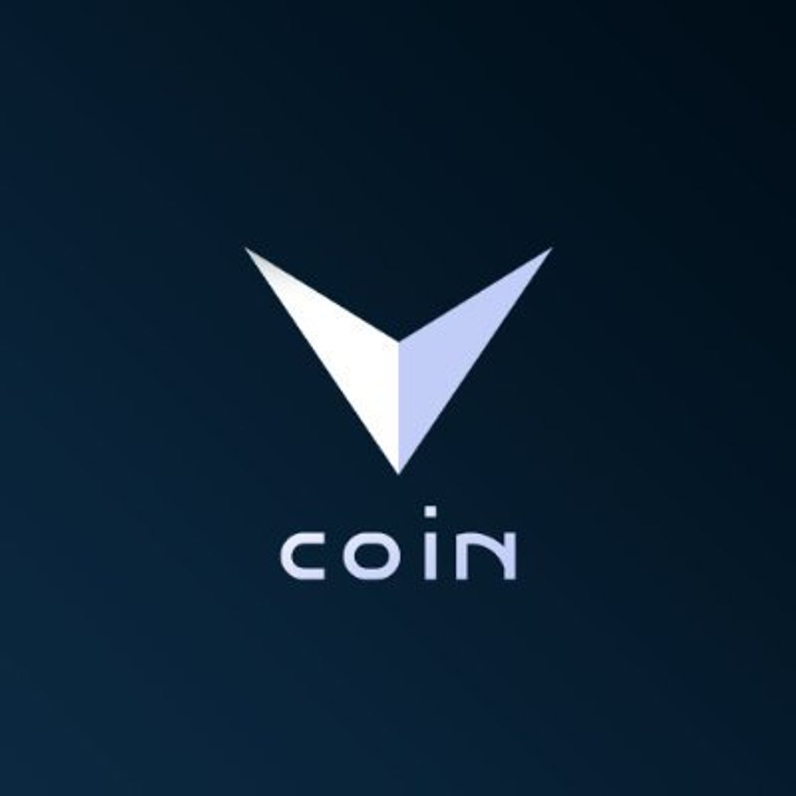 VizerCoin