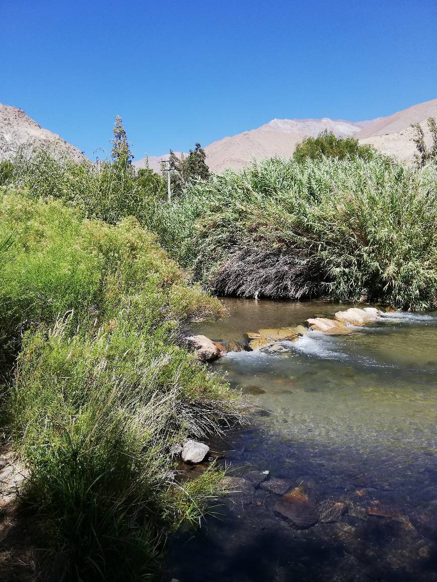 Place valle de Elqui