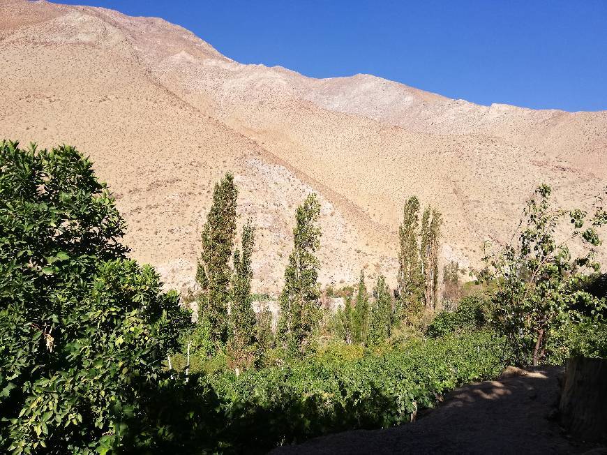 Place Pisco Elqui