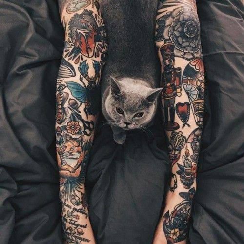 Cat and Tatto  