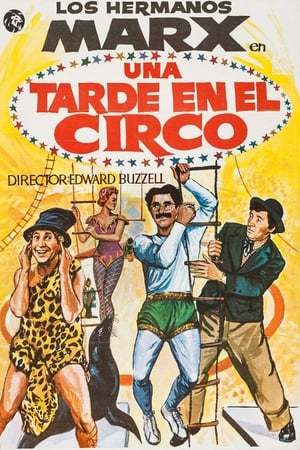 Película Una tarde en el circo