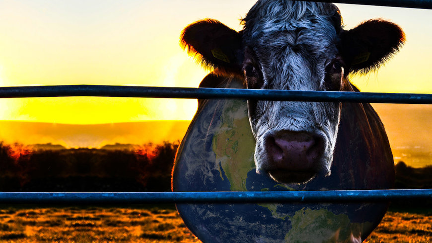 Moda Cowspiracy: The Sustainability Secret | Netflix