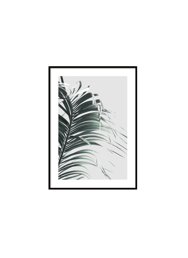 Product French Palm Leaf Poster