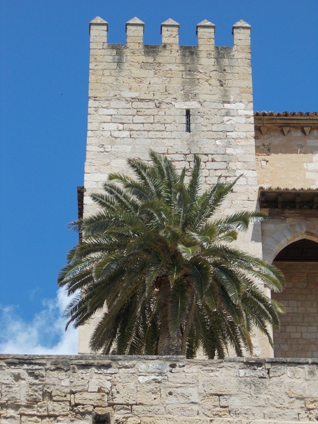 Place Palácio Real de La Almudaina