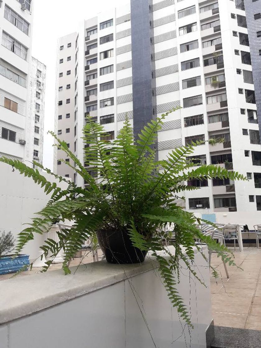 Vila Velha